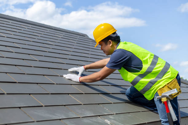 Best Metal Roofing Contractor  in Silver Grove, KY