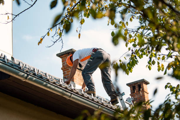 Best Flat Roof Repair Services  in Silver Grove, KY