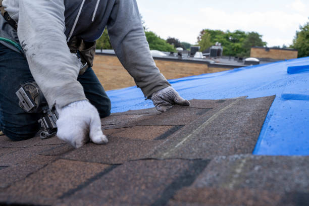 Best Shingle Roofing Installation  in Silver Grove, KY