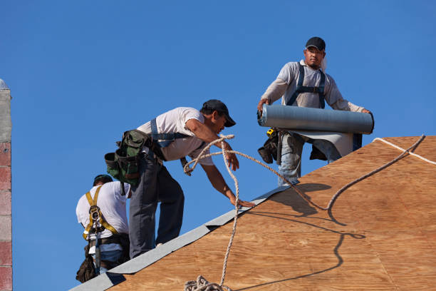 Best Commercial Roofing Services  in Silver Grove, KY