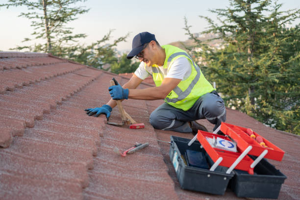 Best Best Roofing Contractors  in Silver Grove, KY