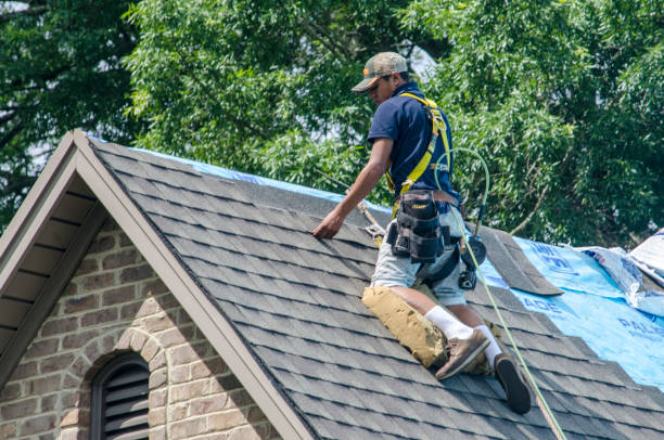 Best Roof Waterproofing Services  in Silver Grove, KY